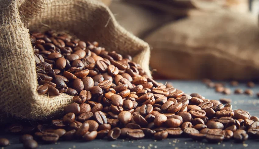 Specialty Coffee